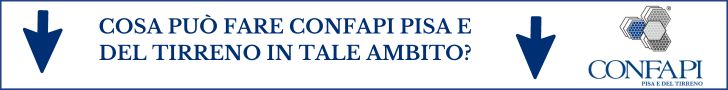 Confapi Pisa in numeri (13).jpg